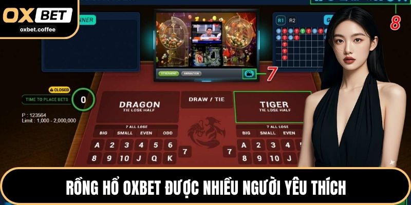 Rồng hổ OXBET được nhiều người yêu thích
